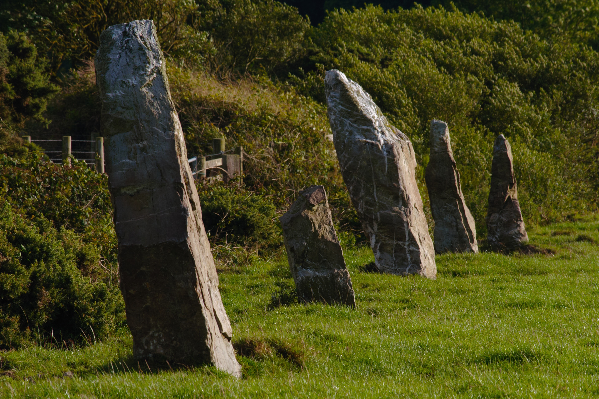 A Row Of Maidens, the Nine Maidens on St Breock Downs