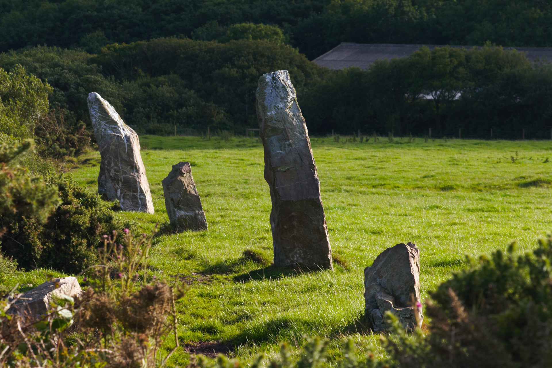 A Row Of Maidens, the Nine Maidens on St Breock Downs