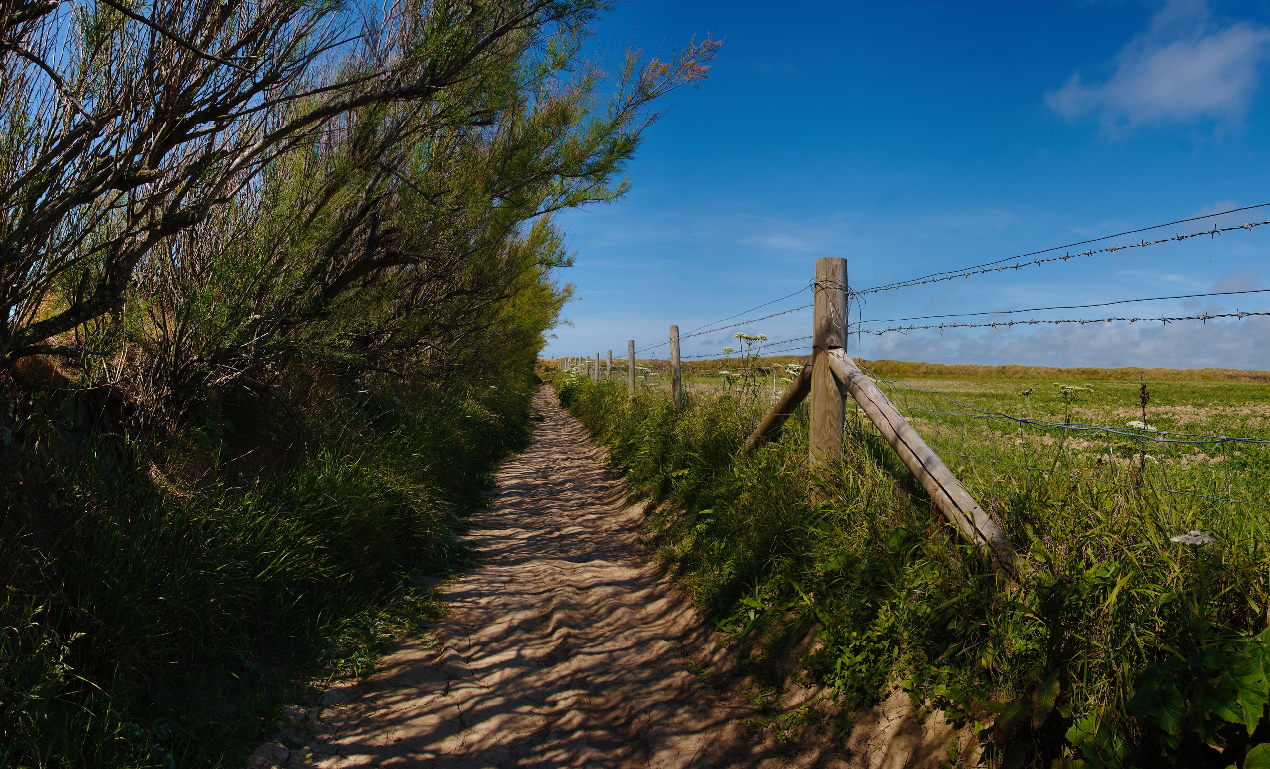 Sheltered Coastal Path between Bedruthan Steps and Portcothan.