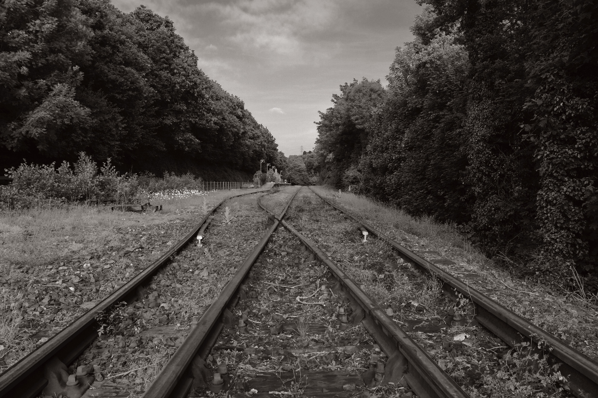 Borcarne Junction Station and tracks on the Bodmin and Wenford R