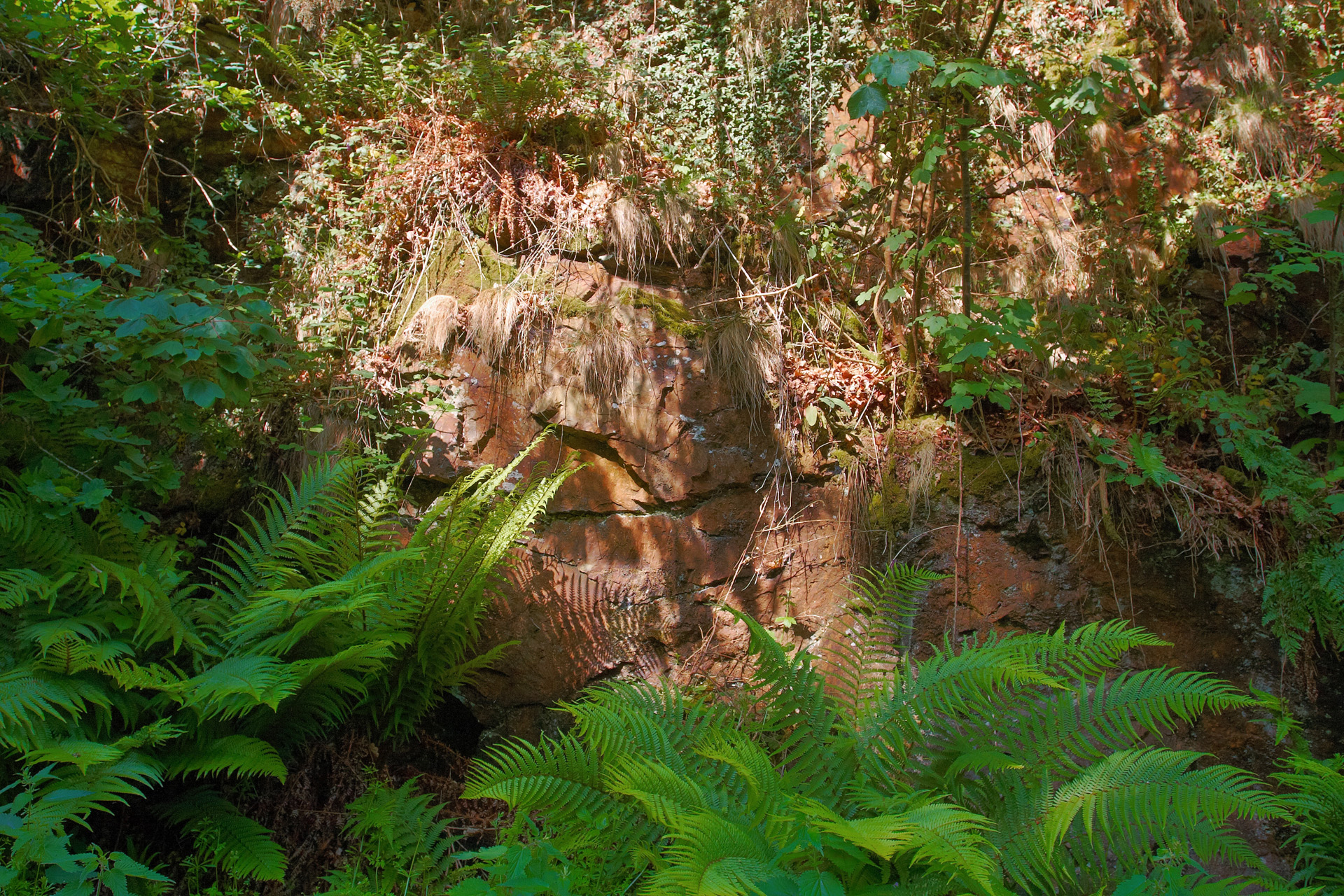 Rock Face along the Camel Trail