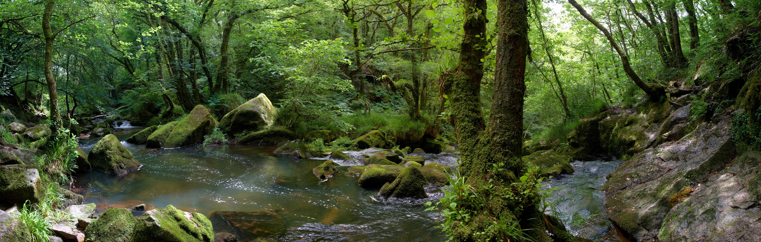 Golitha Falls Panorama