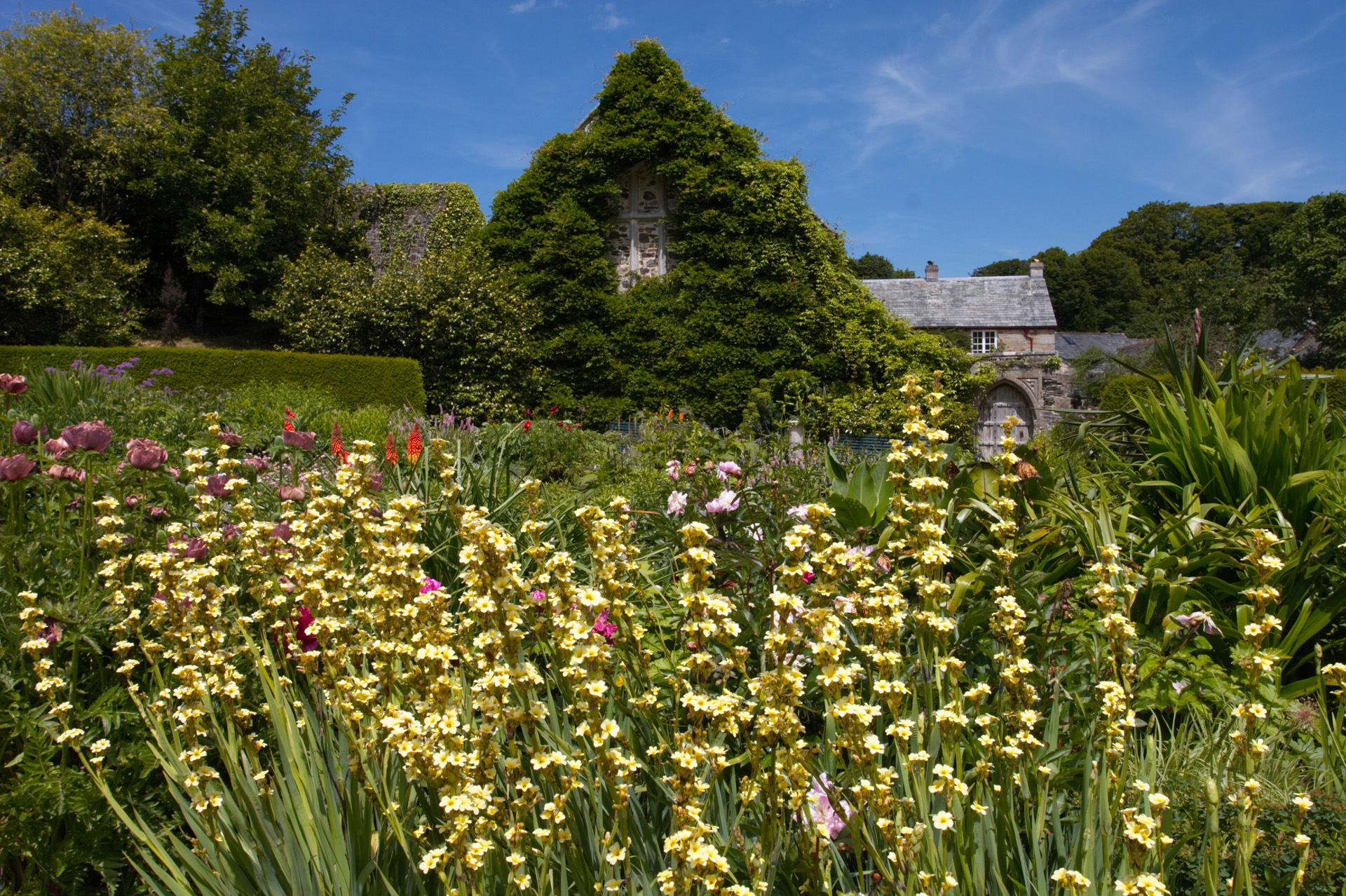 Lanhydrock House Gardens