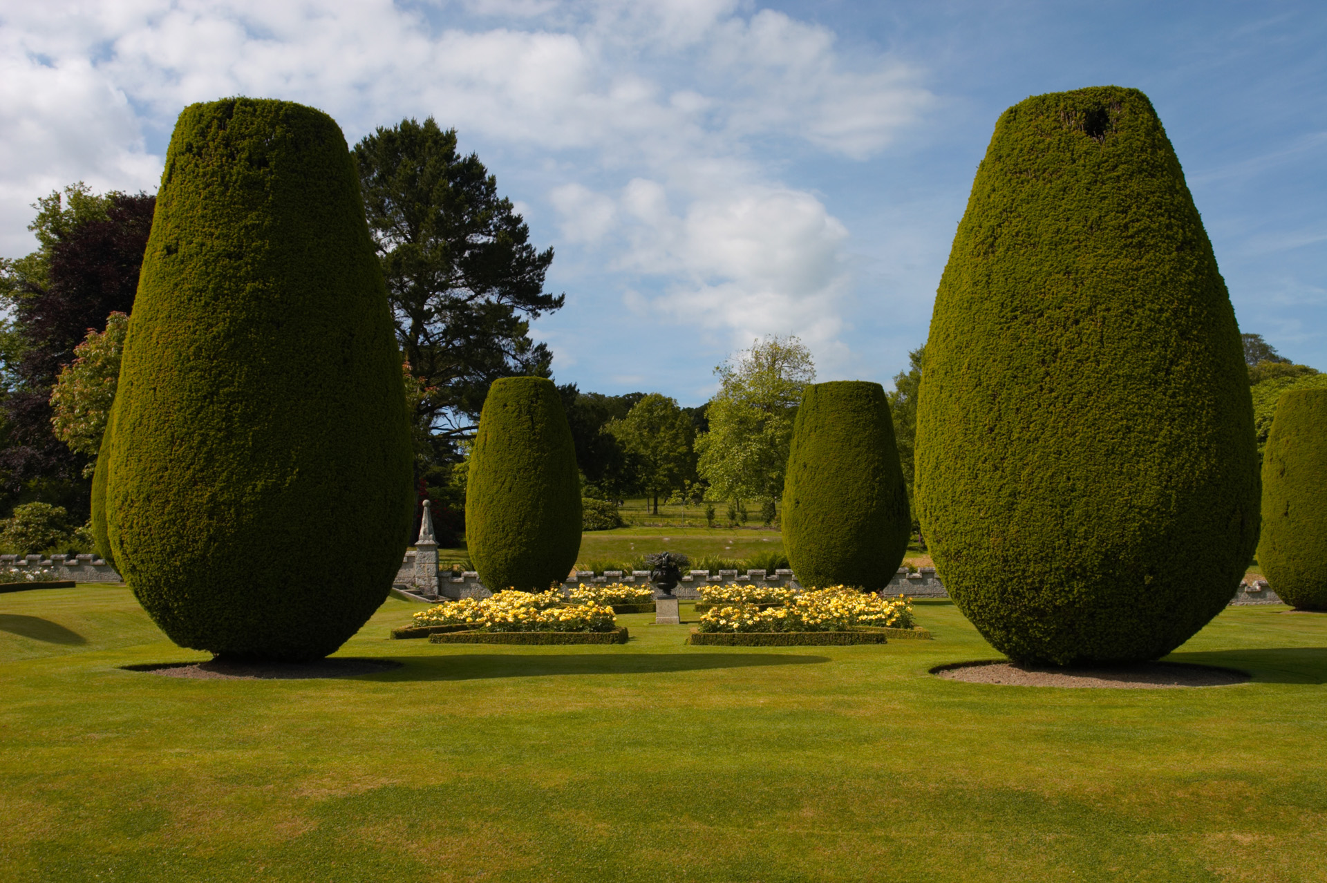 Lanhydrock House Topiary