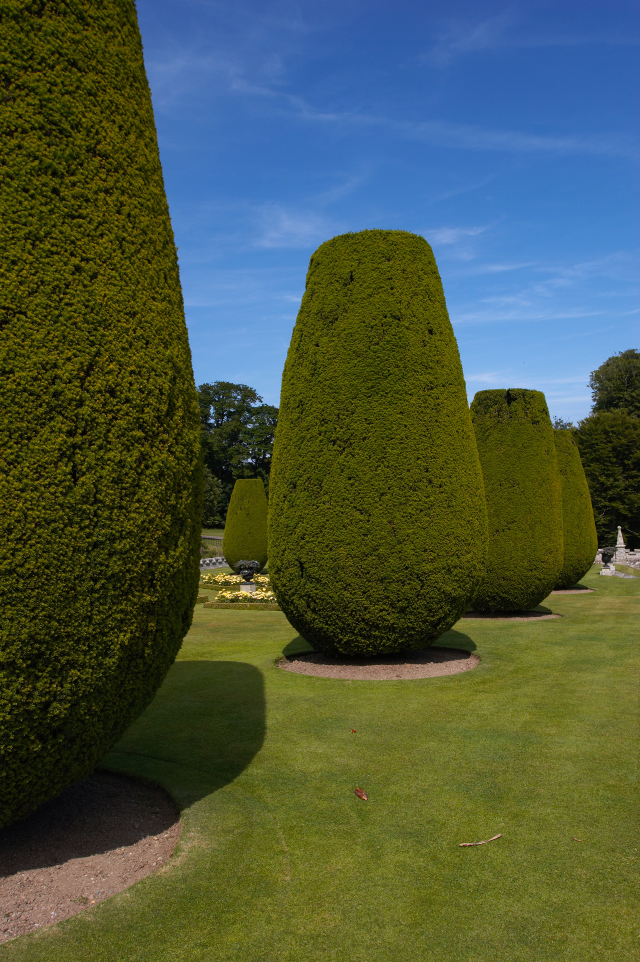 Lanhydrock House Topiary