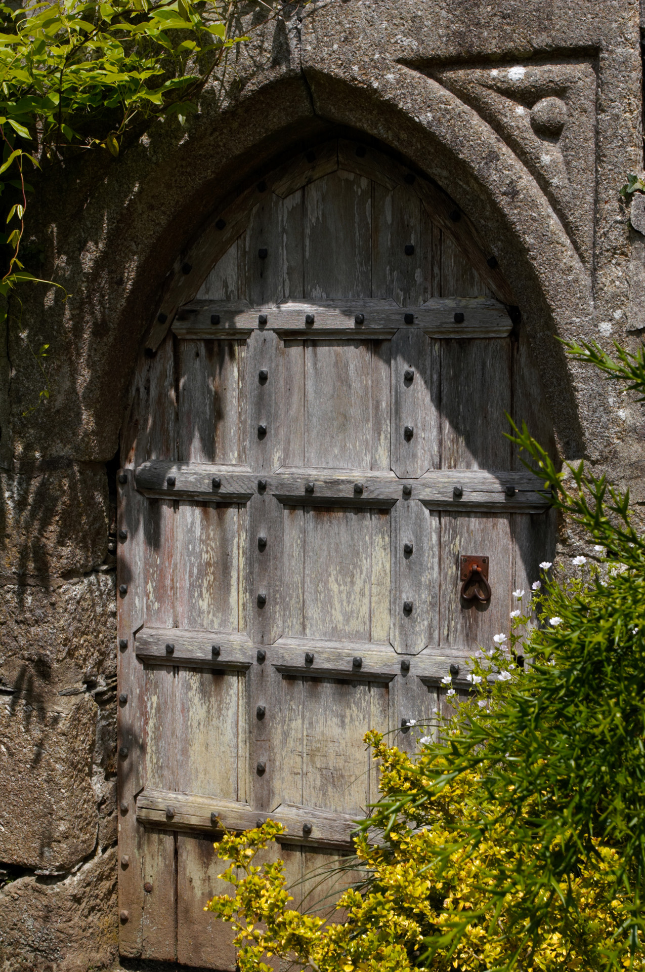 Door To The Secret Garden