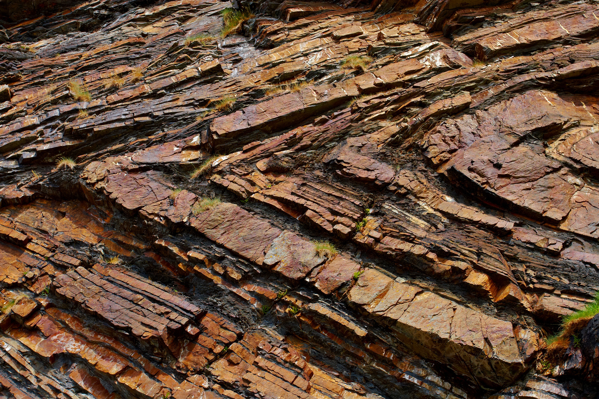 Millook Haven Cliffs With Rock Folds