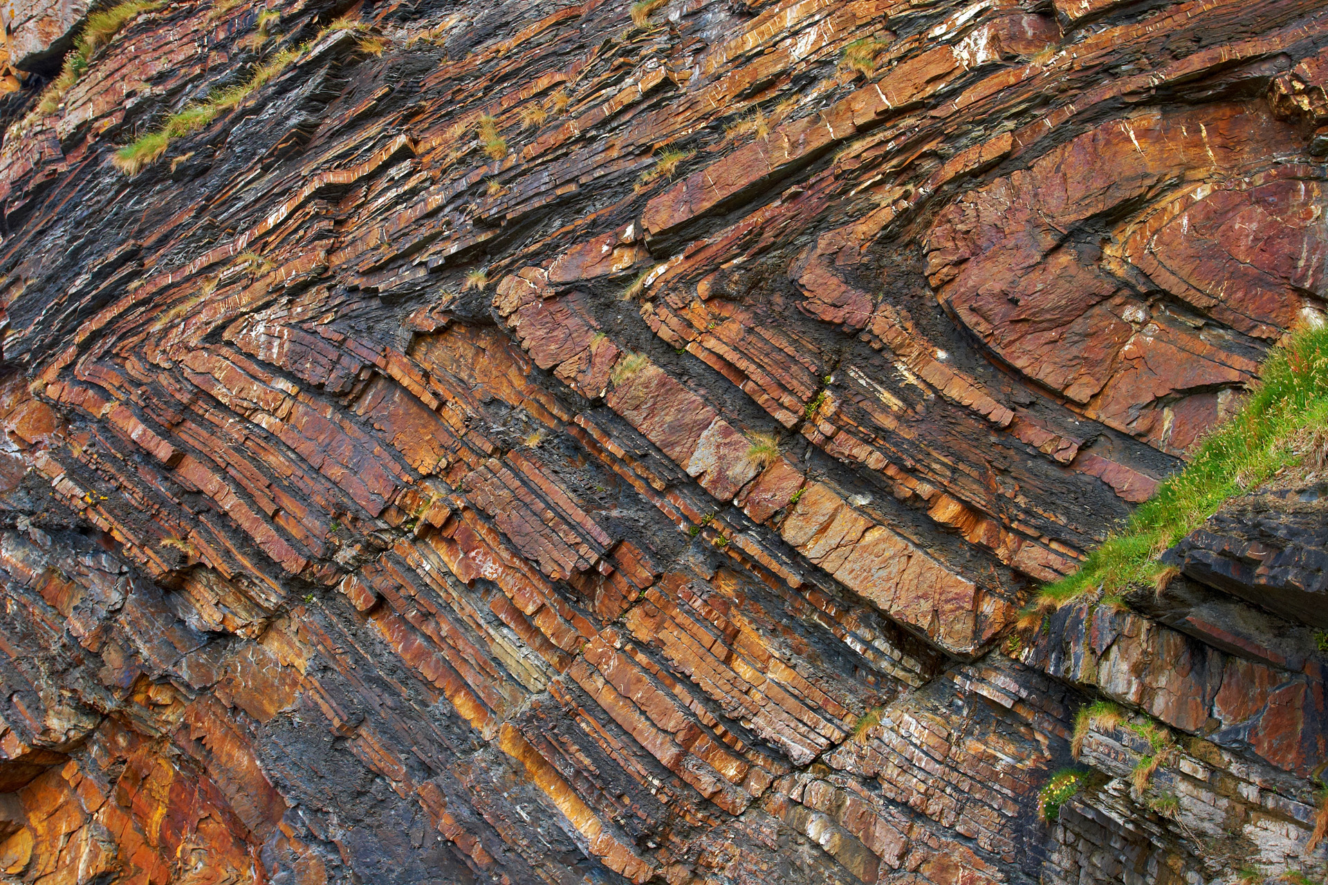 Millook Haven Cliffs With Rock Folds