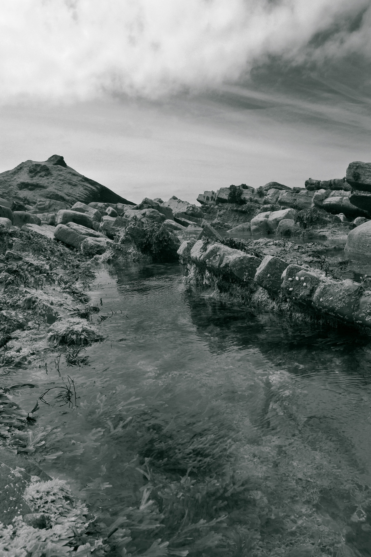 Millook Haven Rockpool