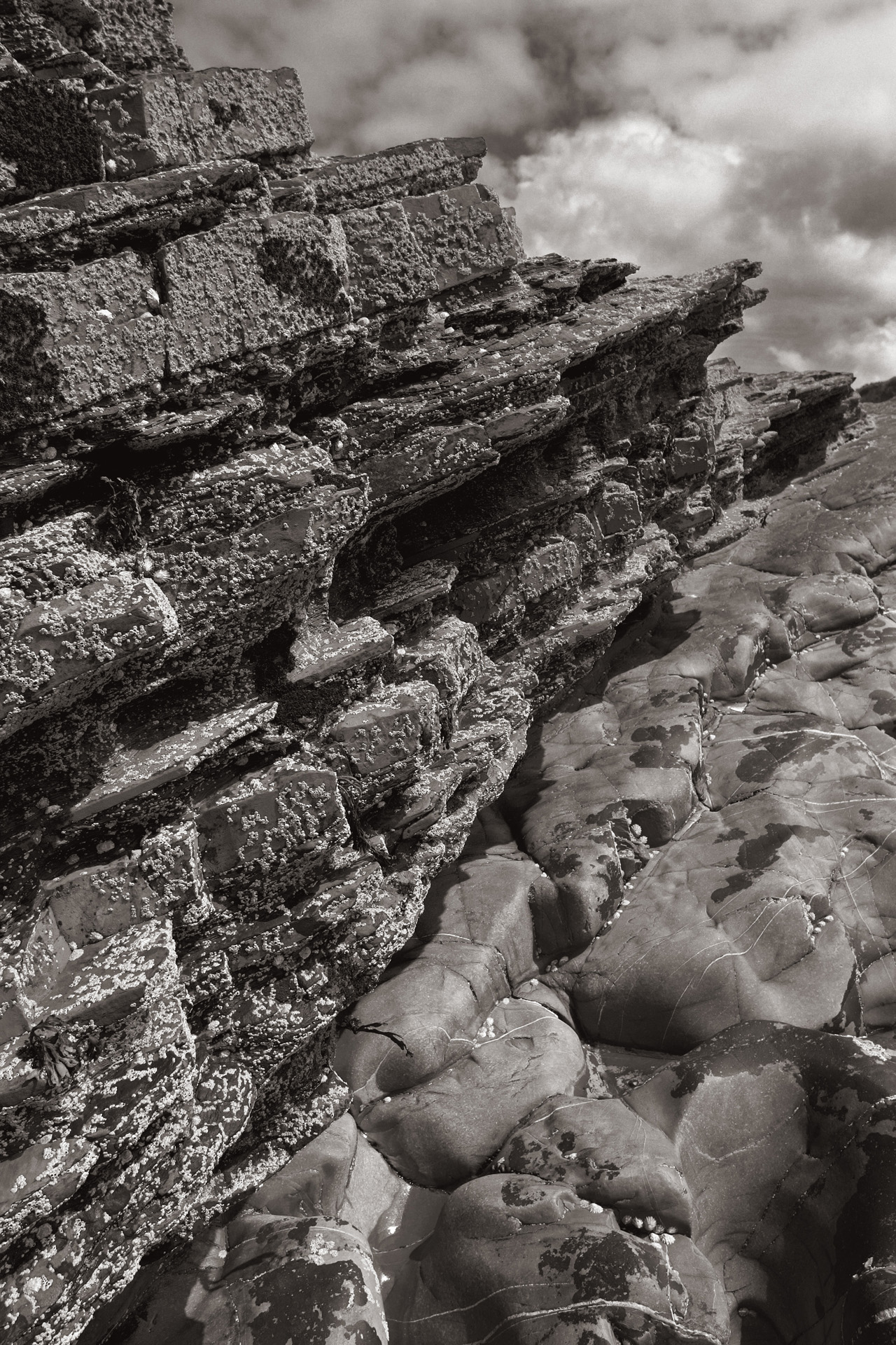 Millook Haven Metamorphic Rocks