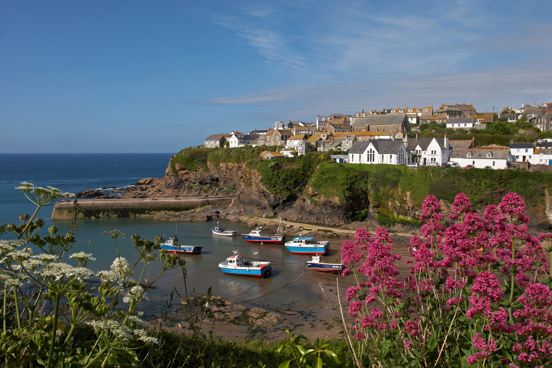 Port Isaac Through Red Valerian