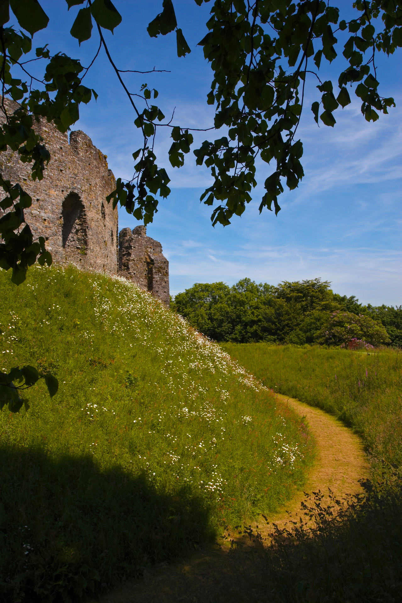 Restormel Castle Moat