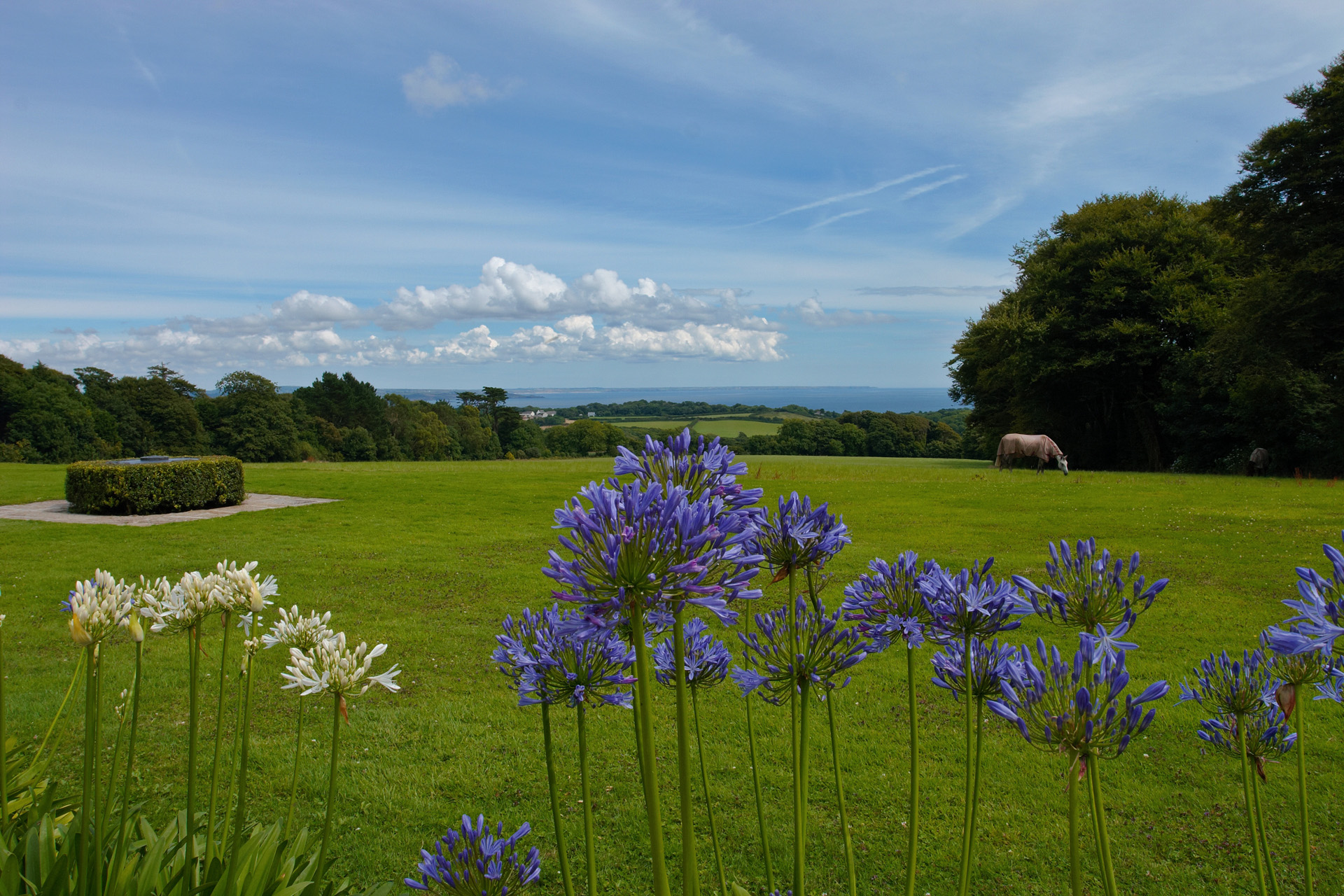 Sea view from the Terrace at Trengwainton Garden