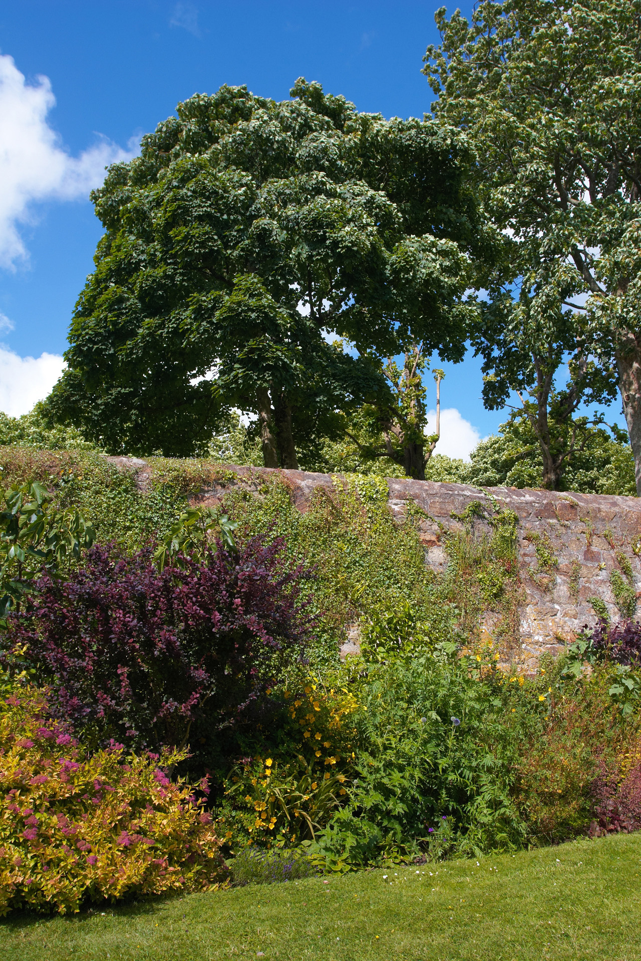 The gardens at Trerice House, Cornwall