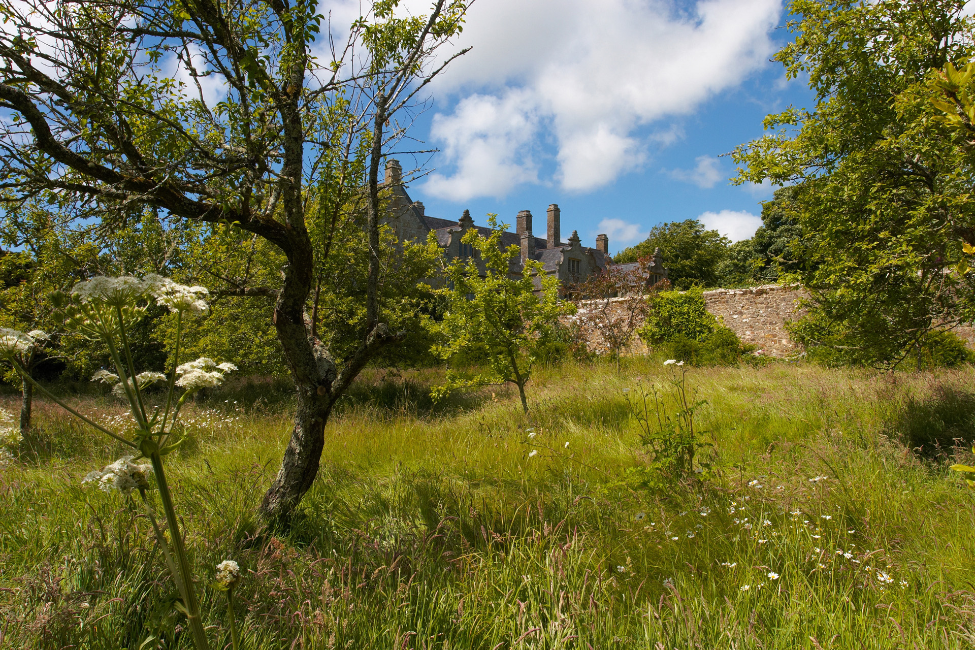 Trerice House from the orchard