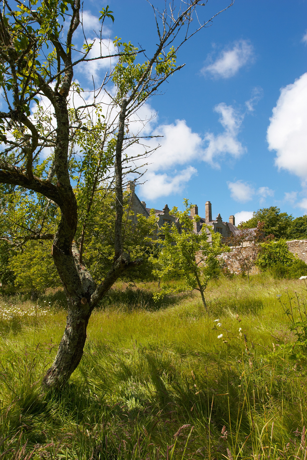 Trerice House from the orchard