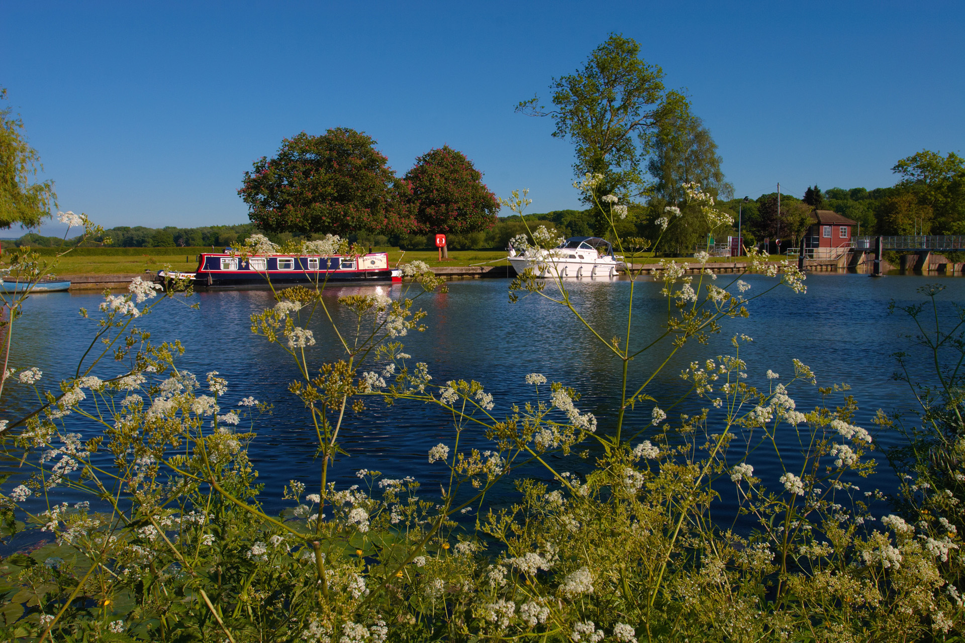River Thames at Little Wittenham