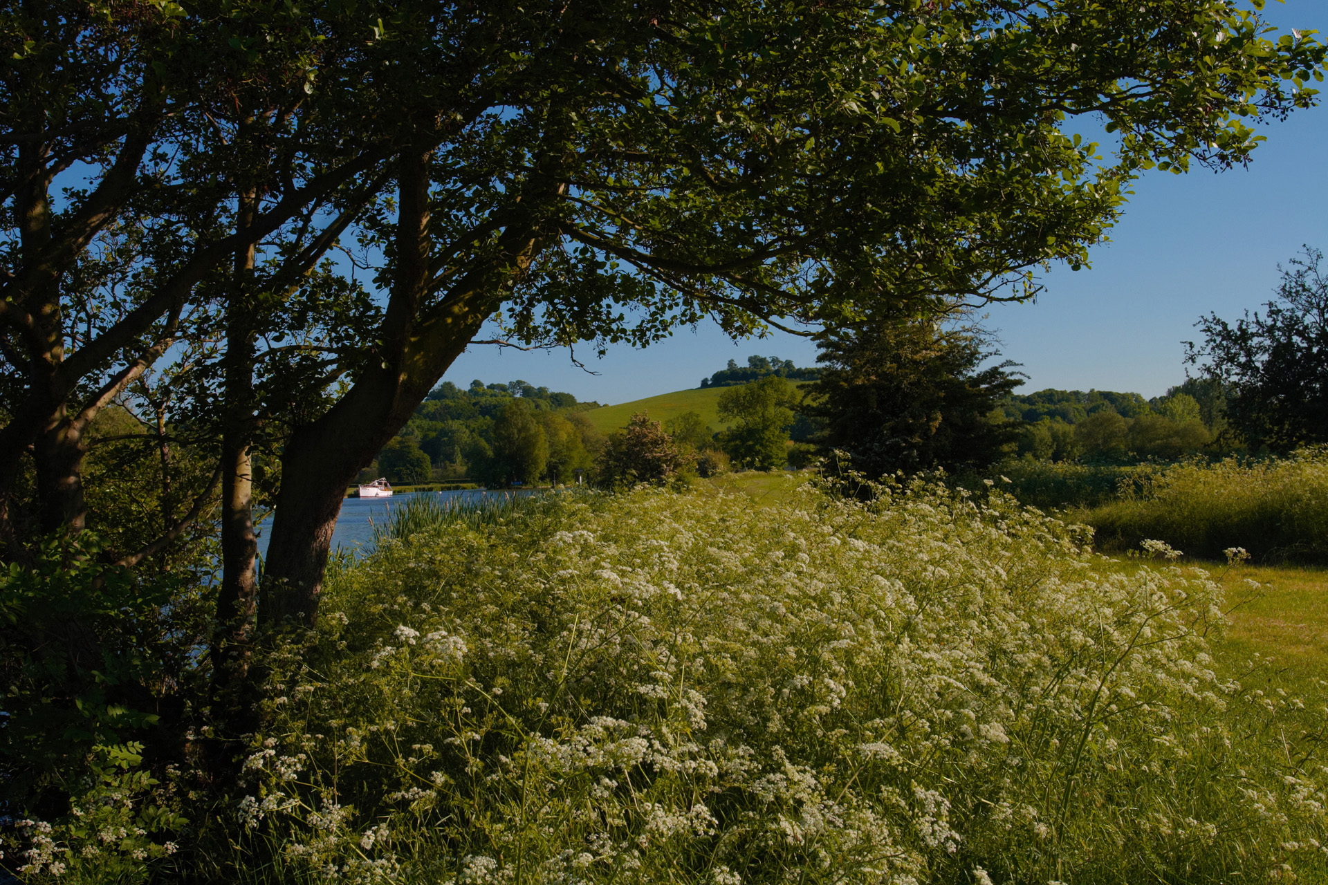 River Thames and Wittenham Clumps