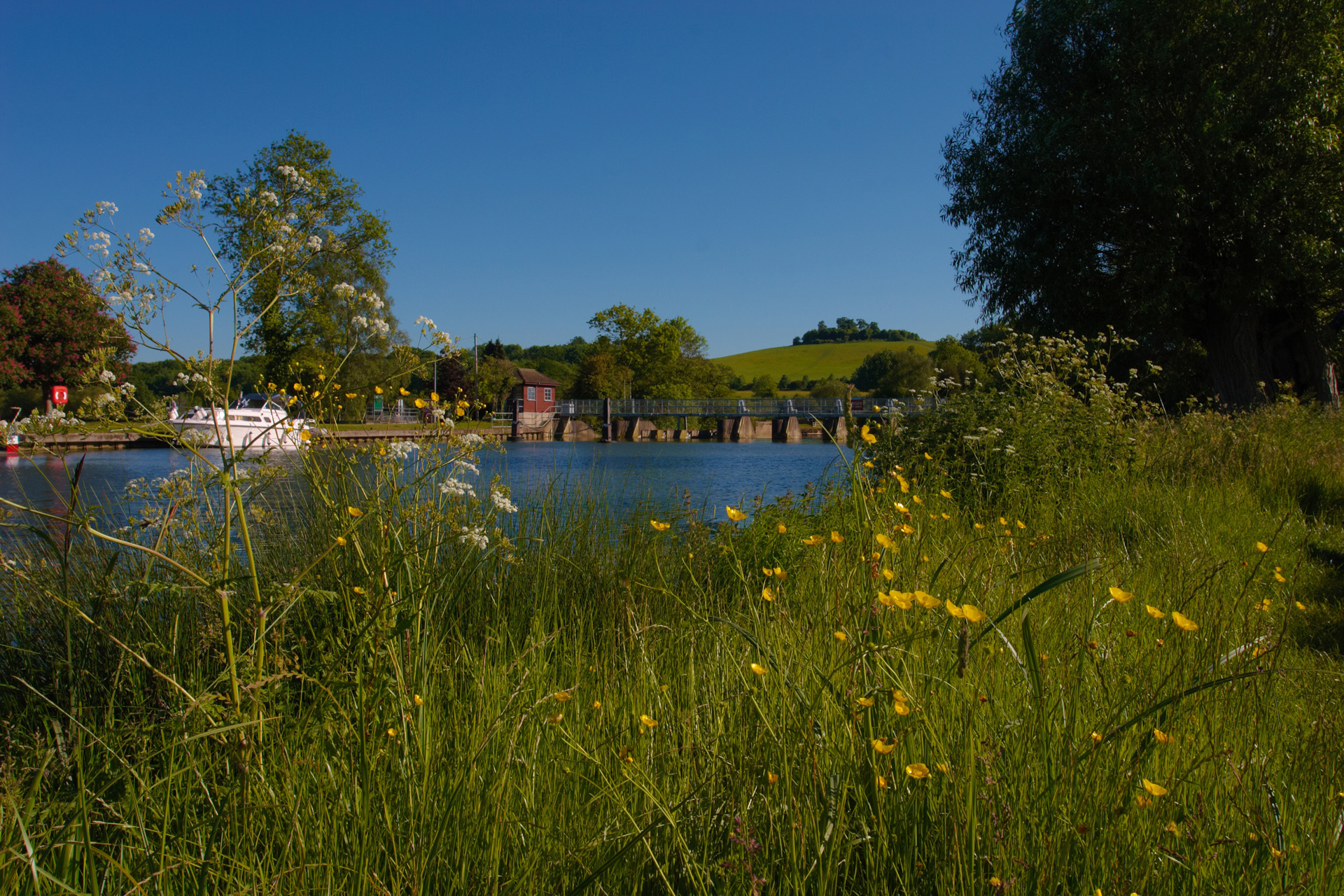 River Thames and Wittenham Clumps