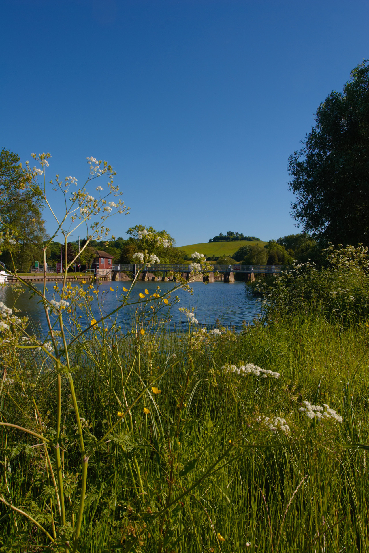 River Thames and Wittenham Clumps