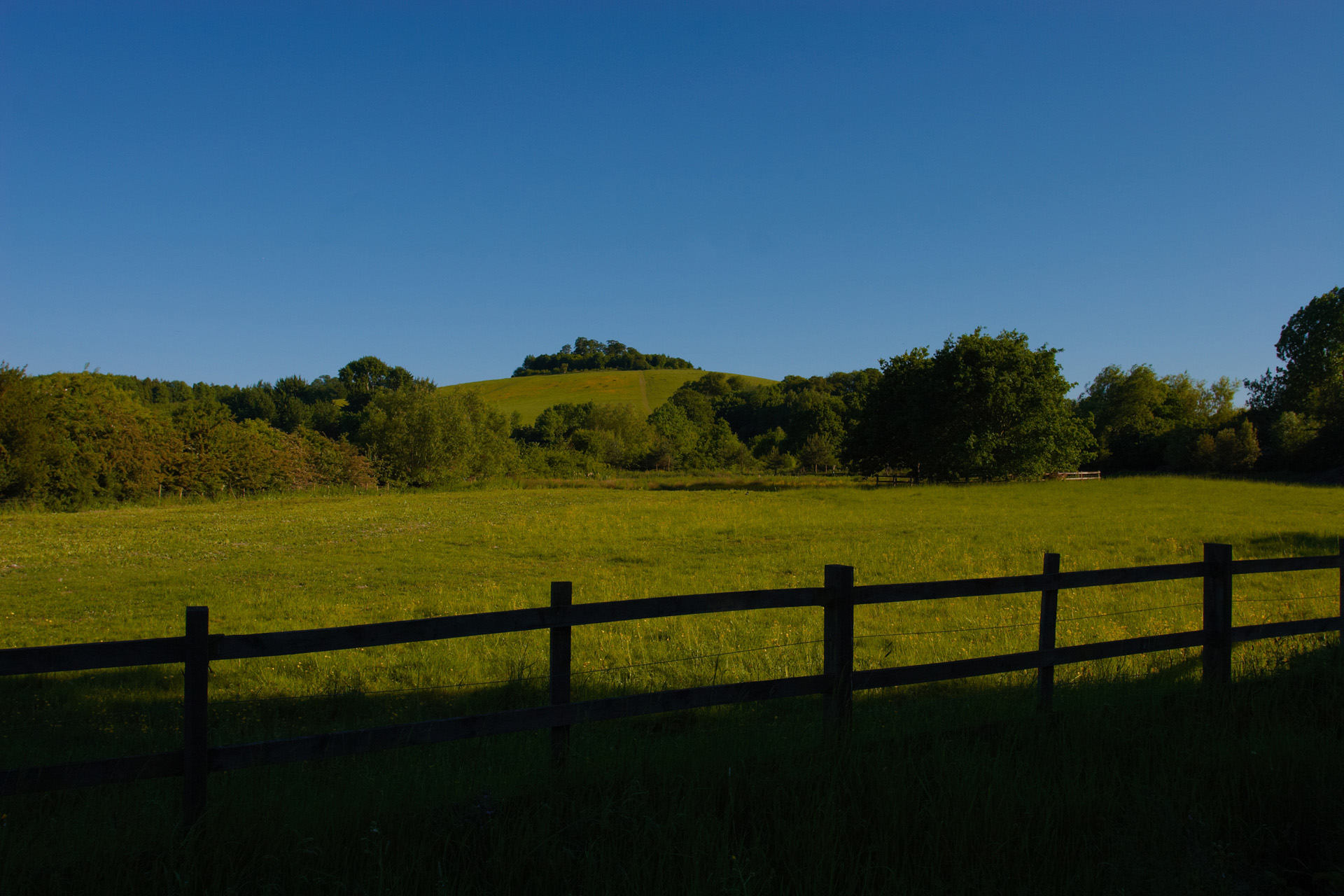 Wittenham Clumps