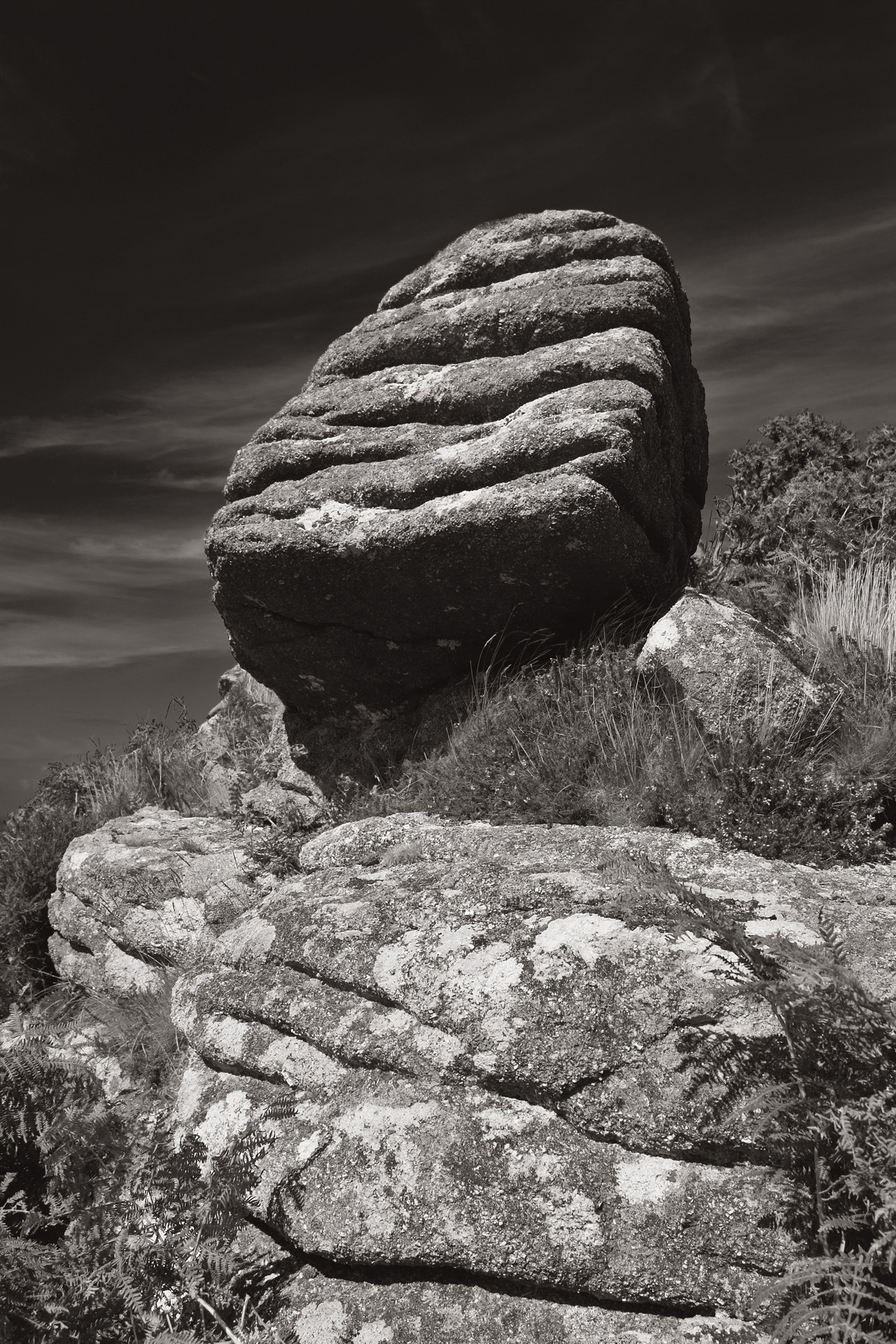 Tor Stripes Monotone