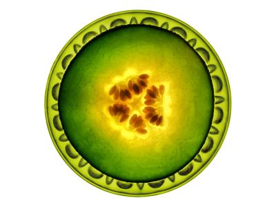 Melon Slice Backlit On A Glass Dish