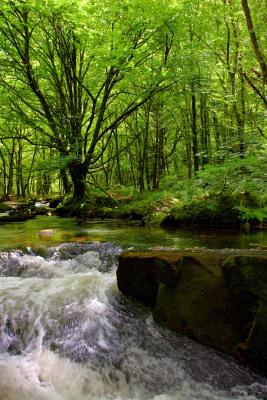 The River Fowey Tumbles