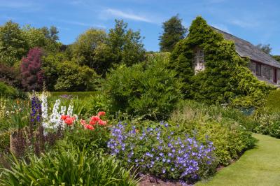 Lanhydrock House Gardens Flower Beds