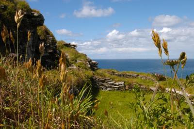 Tintagel Castle Ruins, Cornwall