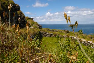 Tintagel Castle Ruins, Cornwall