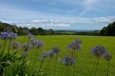 Sea view from the Terrace at Trengwainton Garden