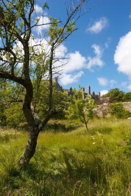 Trerice House from the orchard