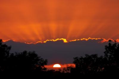 Sunset Rays