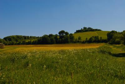Wittenham Clumps